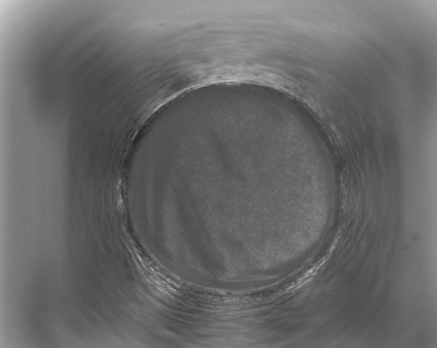 X0000067851497200605041701