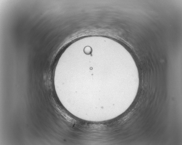 X0000067851498200605041701