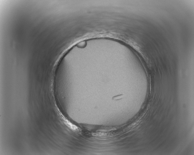 X0000067851500200605041701