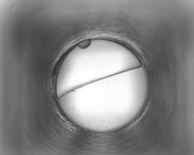 X0000067851501200605041702