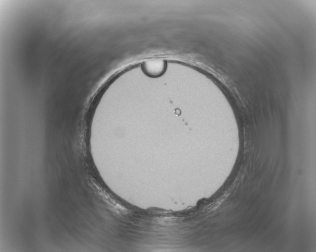 X0000067851502200605041702