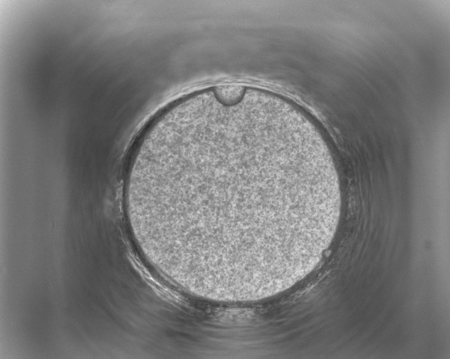 X0000067851503200605041702