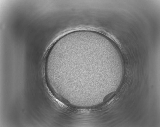 X0000067851504200605041702