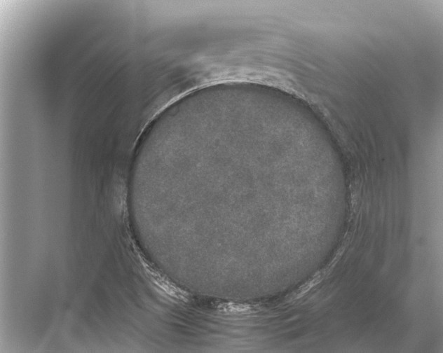 X0000067851505200605041702