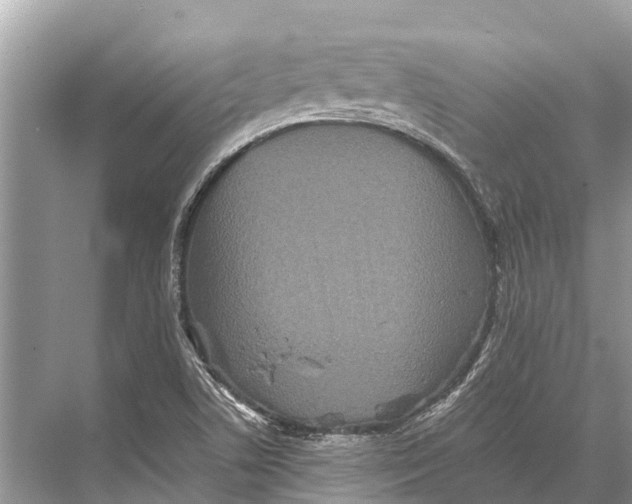 X0000067851506200605041702