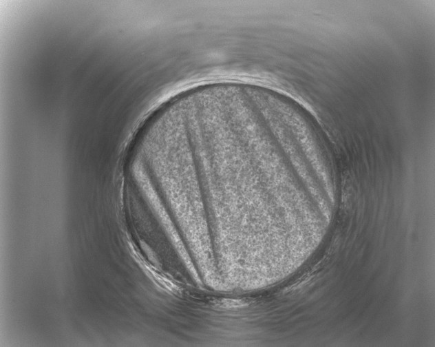 X0000067851507200605041702