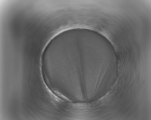 X0000067851508200605041702