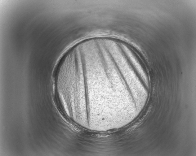 X0000067851509200605041702