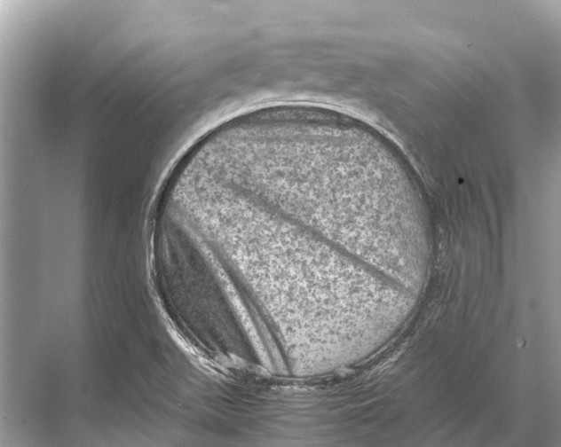 X0000067851511200605041702