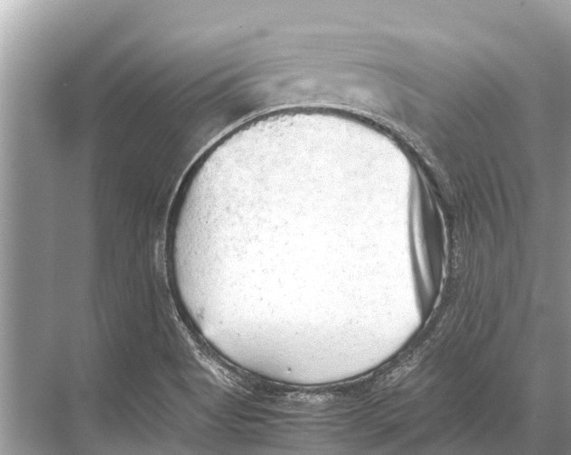 X0000067851513200605041702