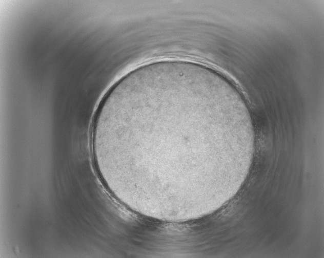 X0000067851514200605041702