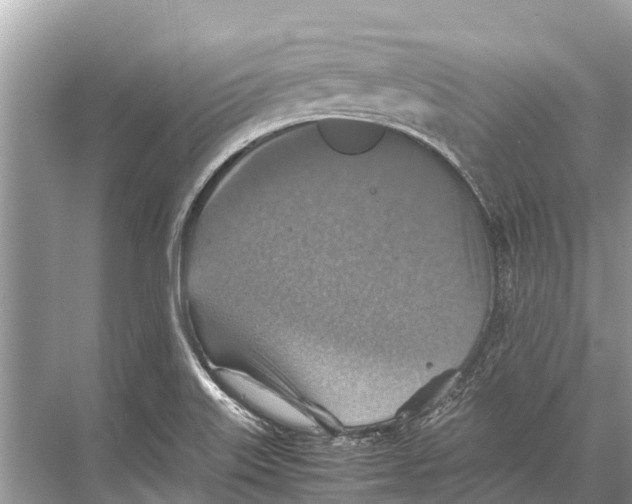 X0000067851515200605041702