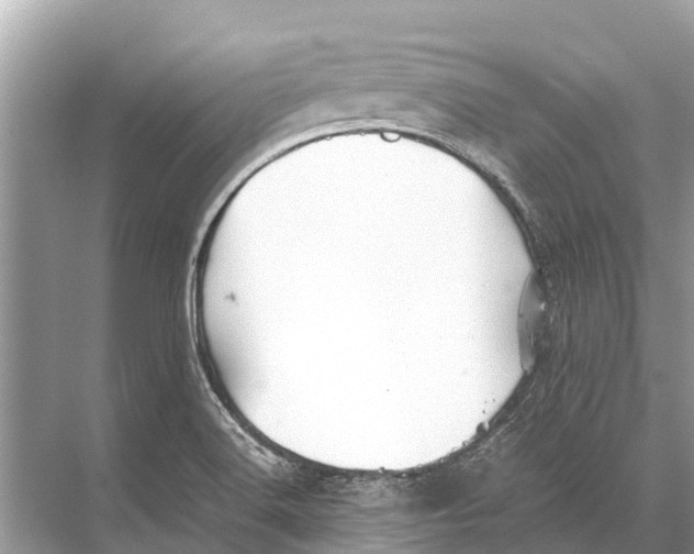 X0000067851516200605041702