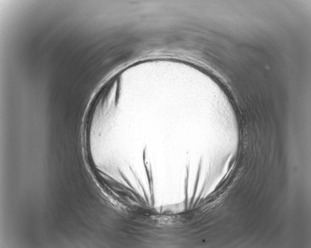 X0000067851517200605041702