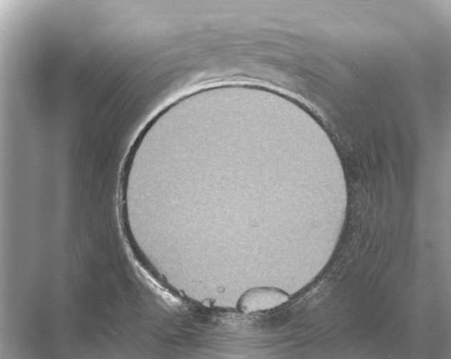 X0000067851518200605041702