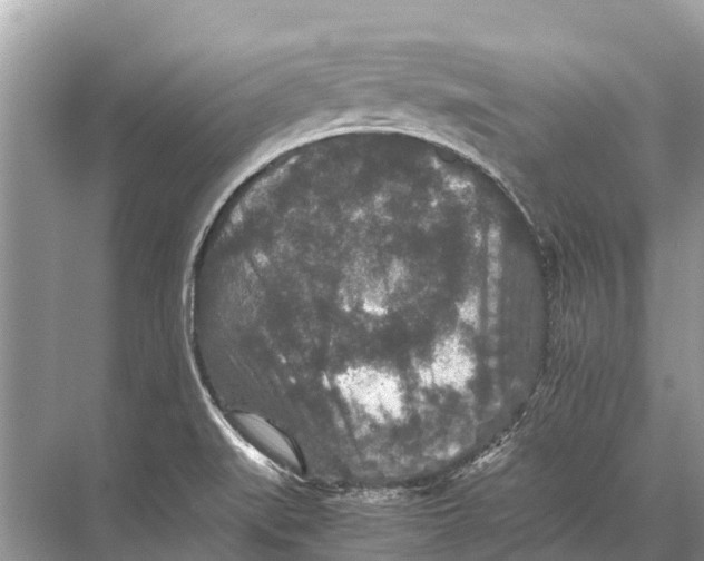 X0000067851519200605041702