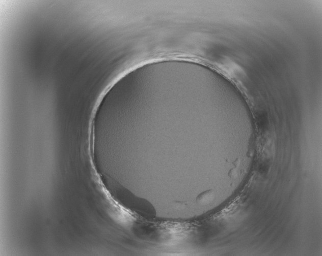 X0000067851520200605041702