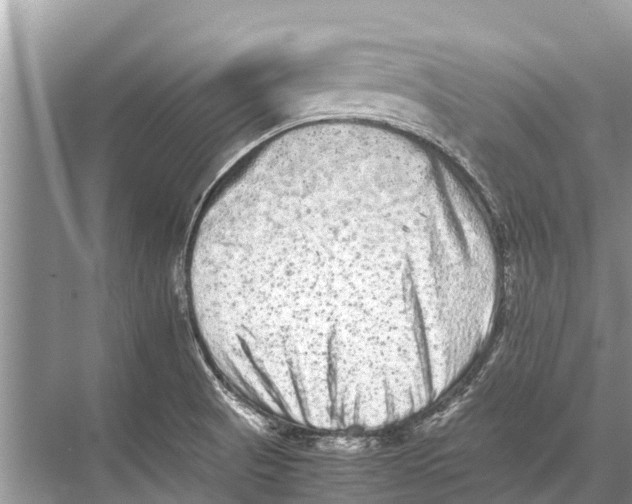 X0000067851521200605041702