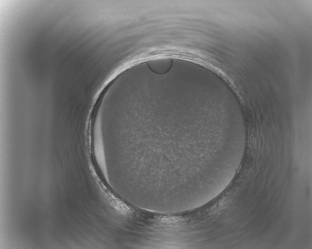 X0000067851522200605041702