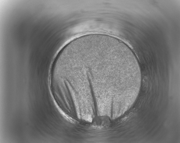 X0000067851523200605041702