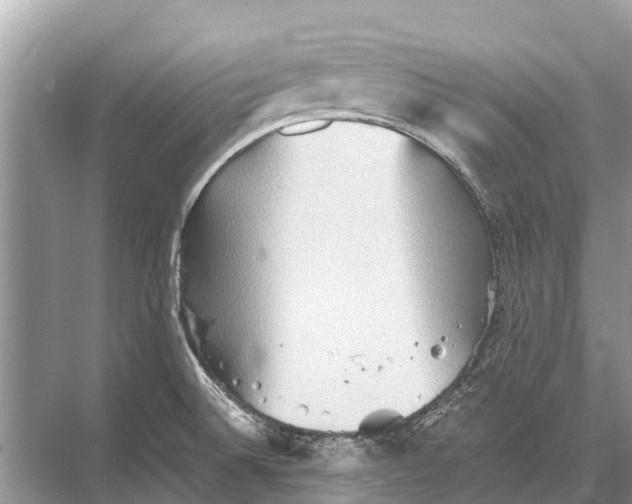 X0000067851524200605041702