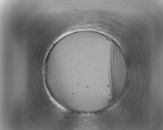 X0000067851526200605041702