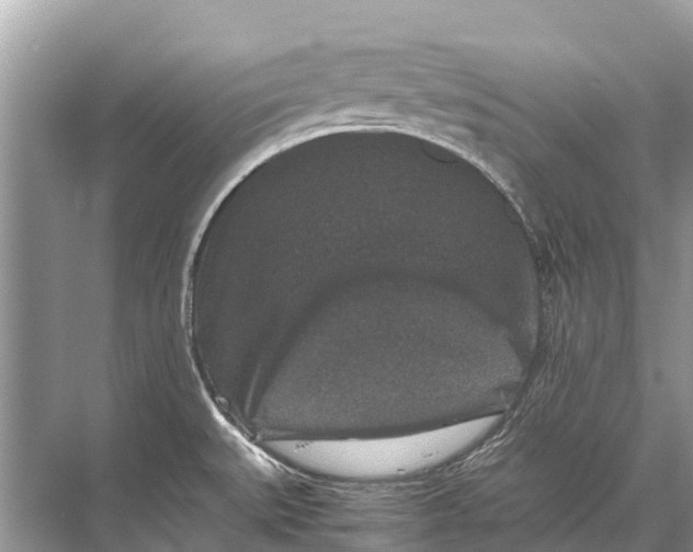 X0000067851527200605041702