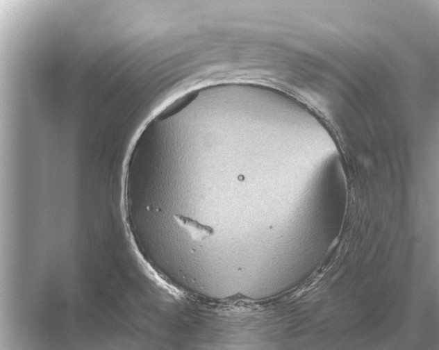 X0000067851528200605041702