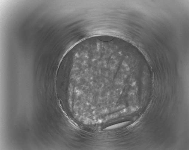 X0000067851529200605041702