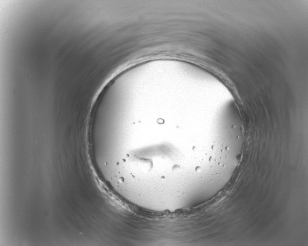 X0000067851530200605041702