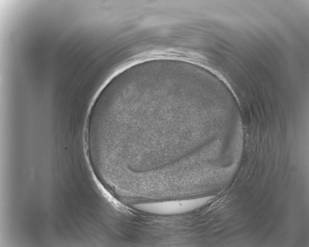 X0000067851531200605041702