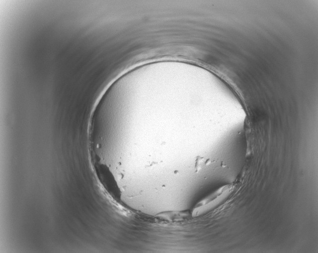 X0000067851532200605041702