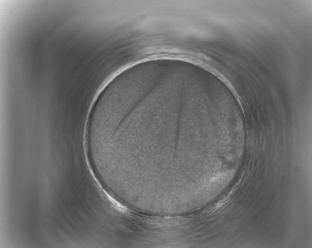 X0000067851533200605041702