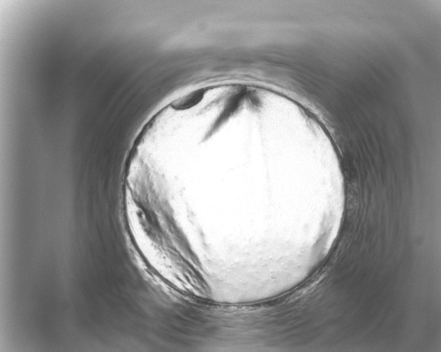 X0000067851534200605041702