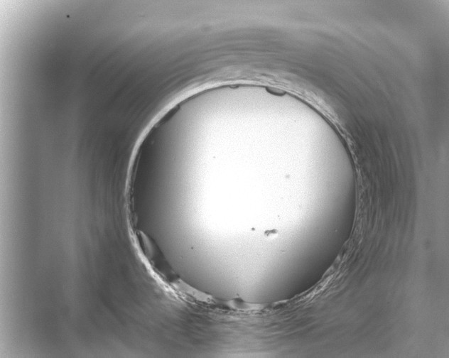 X0000067851536200605041702