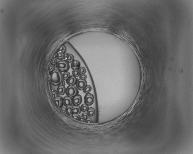 X0000067850001200605111720