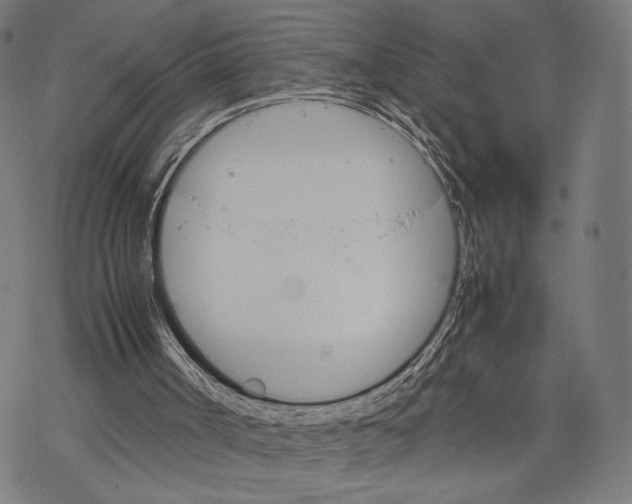 X0000067850002200605111720