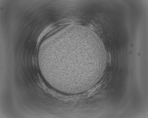 X0000067850004200605111720