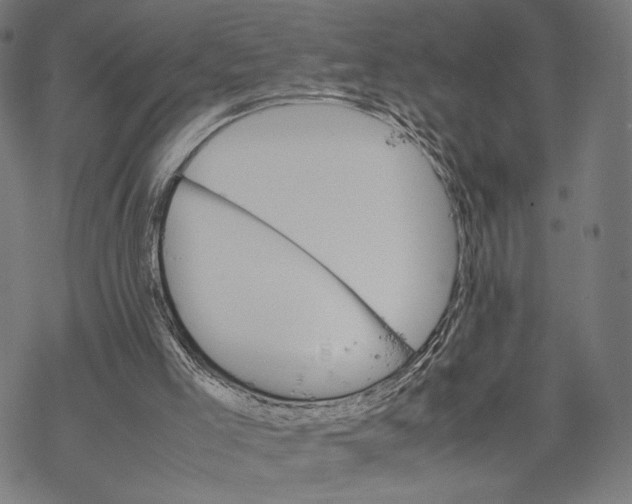 X0000067850005200605111720