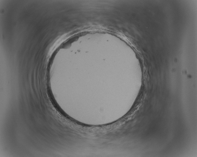 X0000067850007200605111720