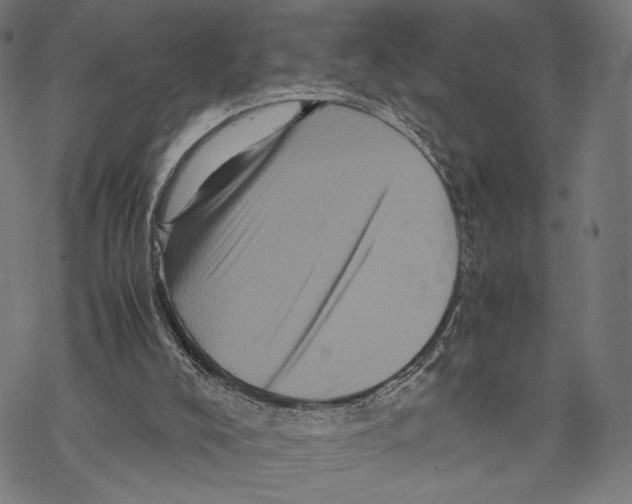 X0000067850008200605111720