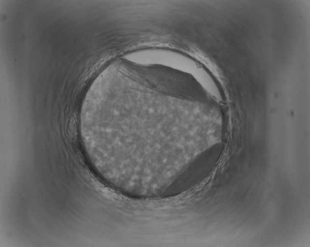 X0000067850009200605111720