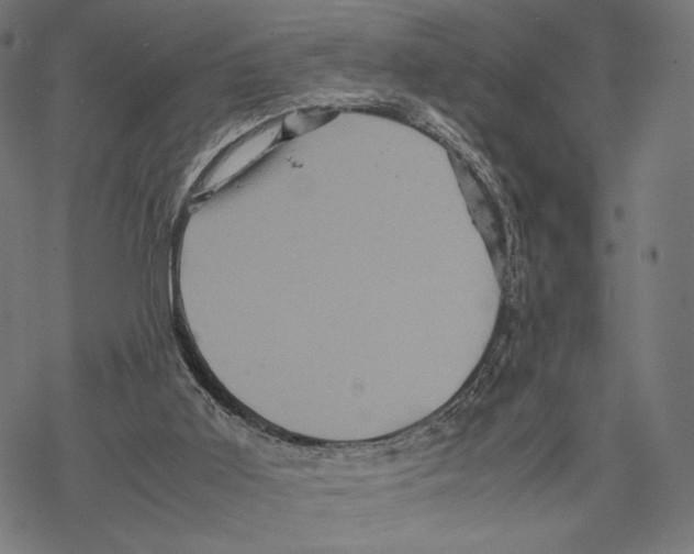 X0000067850011200605111720