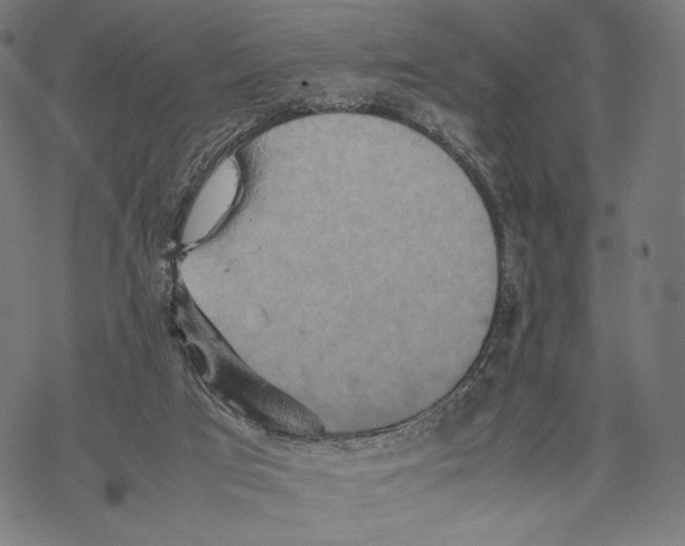 X0000067850017200605111720