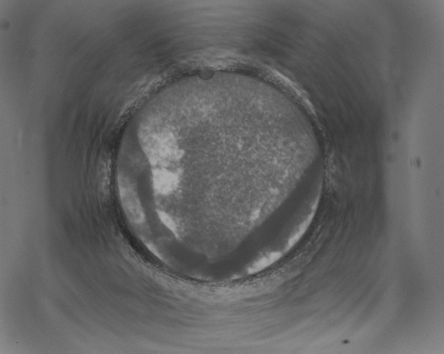 X0000067850018200605111720