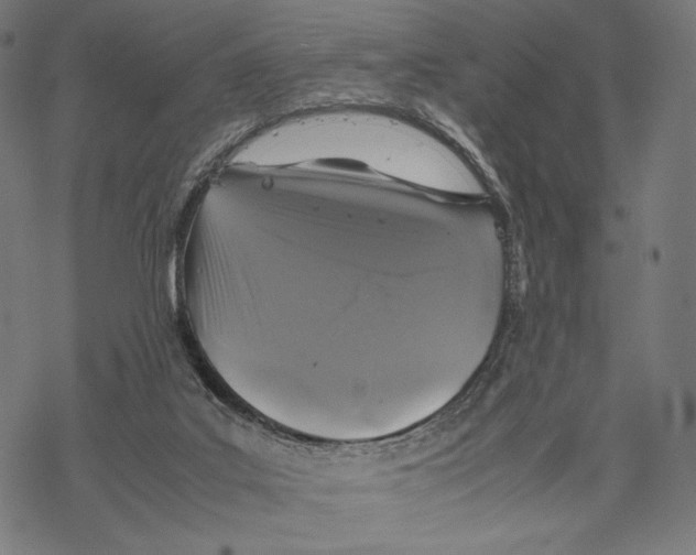 X0000067850019200605111720