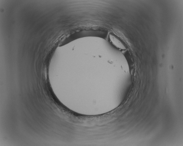 X0000067850021200605111719