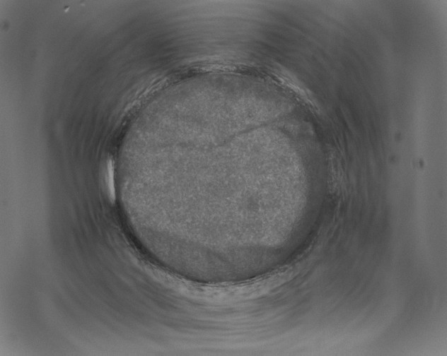 X0000067850022200605111719