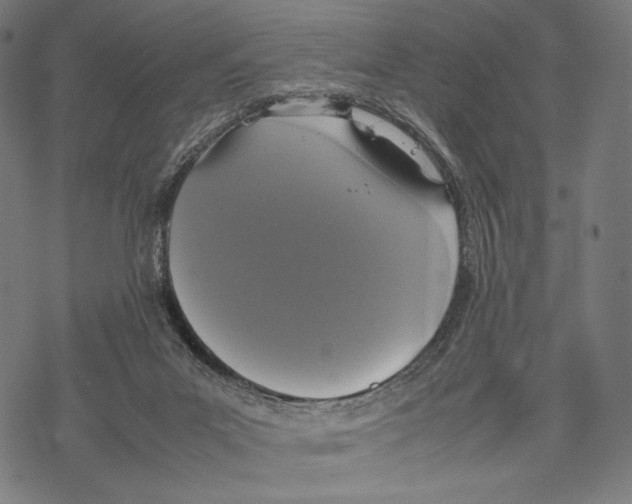 X0000067850023200605111719