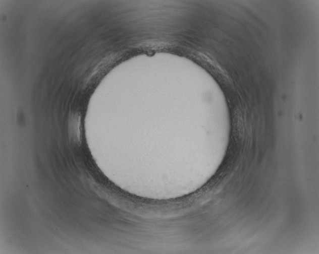 X0000067850024200605111719